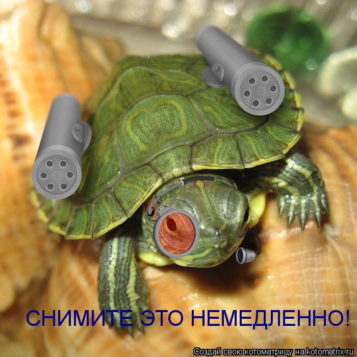 Котоматрица: СНИМИТЕ ЭТО НЕМЕДЛЕННО!