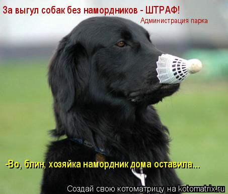 -Во, блин, хозяйка намордник дома оставила... За выгул собак без намордников - ШТРАФ! Администрация п... Котоматрица: -Во, блин, хозяйка намордник дома оставила... За выгул собак без намордников - ШТРАФ! Администрация парка