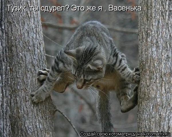Тузик, ты сдурел? Это же я , Васенька... Котоматрица: Тузик, ты сдурел? Это же я , Васенька