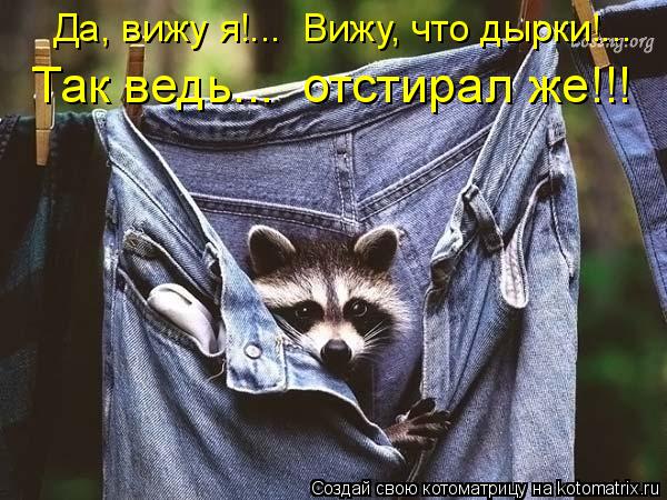 Да, вижу я!... Вижу, что дырки!... Так ведь... отстирал же!!!... Котоматрица: Да, вижу я!... Вижу, что дырки!... Так ведь... отстирал же!!!