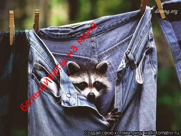 большиваты на меня... Котоматрица: большиваты на меня