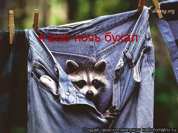 я всю ночь бухал... Котоматрица: я всю ночь бухал
