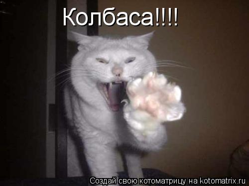 Колбаса!!!!... Котоматрица: Колбаса!!!!