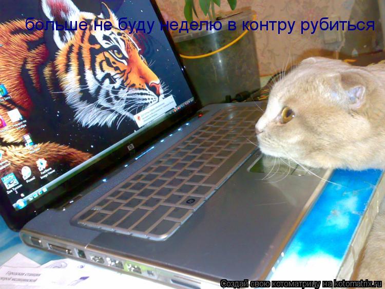 больше не буду неделю в контру рубиться... Котоматрица: больше не буду неделю в контру рубиться
