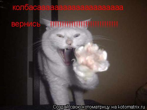 колбасаааааааааааааааааааа вернись !!!!!!!!!!!!!!!!!!!!!!!!!!!!! !!!!!!!!!!!!!!!!!!!!!!!!!!!!!... Котоматрица: колбасаааааааааааааааааааа вернись !!!!!!!!!!!!!!!!!!!!!!!!!!!!! !!!!!!!!!!!!!!!!!!!!!!!!!!!!!