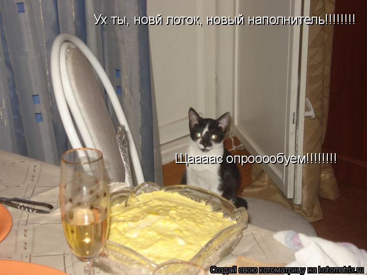 Ух ты, новй лоток, новый наполнитель!!!!!!!! Щаааас опрооообуем!!!!!!!!... Котоматрица: Ух ты, новй лоток, новый наполнитель!!!!!!!! Щаааас опрооообуем!!!!!!!!