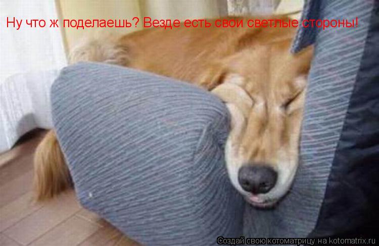 Ну что ж поделаешь? Везде есть свои светлые стороны!... Котоматрица: Ну что ж поделаешь? Везде есть свои светлые стороны!