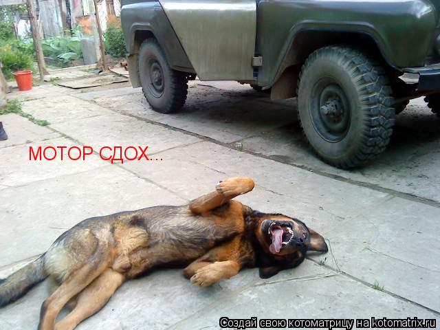 МОТОР СДОХ...... Котоматрица: МОТОР СДОХ...