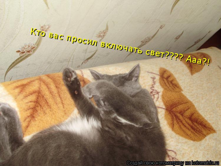 Кто вас просил включать свет???? Ааа?!... Котоматрица: Кто вас просил включать свет???? Ааа?!