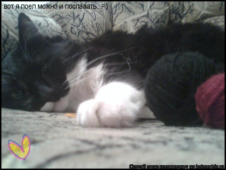 вот я поел можно и поспааать...=)... Котоматрица: вот я поел можно и поспааать...=)