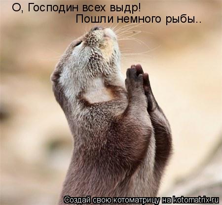 О, Господин всех выдр! Пошли немного рыбы..... Котоматрица: О, Господин всех выдр! Пошли немного рыбы..
