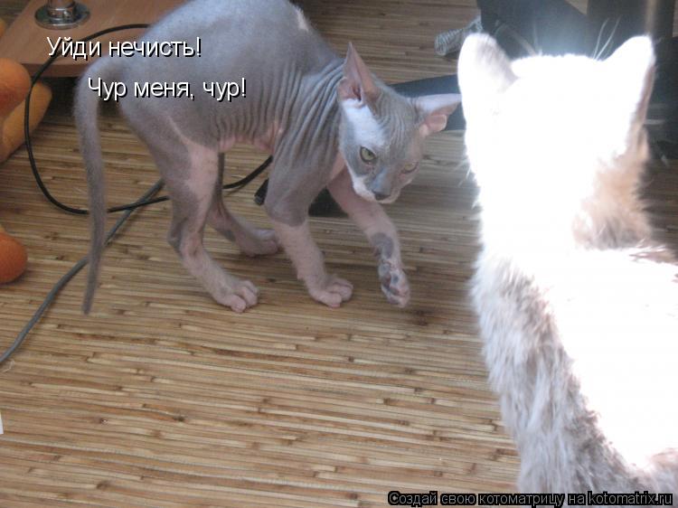 Уйди нечисть! Чур меня, чур!... Котоматрица: Уйди нечисть! Чур меня, чур!