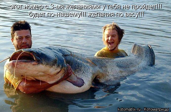 этот номер с 3-мя желаниями у тебя не пройдет!!! будет по-нашему!!! желания по весу!!!... Котоматрица: этот номер с 3-мя желаниями у тебя не пройдет!!! будет по-нашему!!! желания по весу!!!
