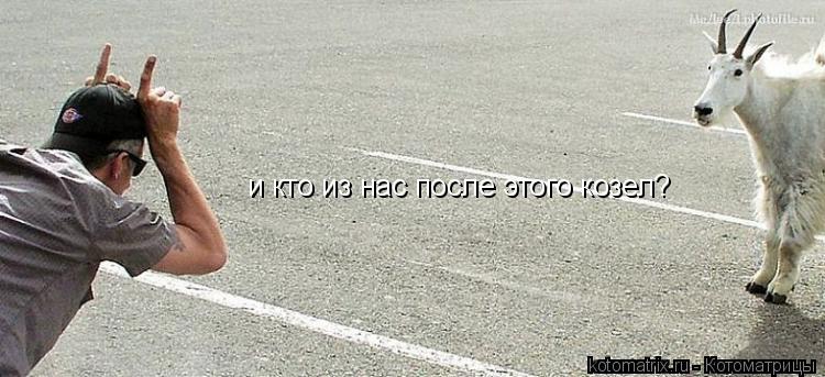 и кто из нас после этого козел?... Котоматрица: и кто из нас после этого козел?