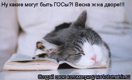 Ну какие могут быть ГОСы?! Весна ж на дворе!!!... Котоматрица: Ну какие могут быть ГОСы?! Весна ж на дворе!!!