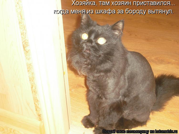 Хозяйка, там хозяин приставился... когда меня из шкафа за бороду вытянул.... Котоматрица: Хозяйка, там хозяин приставился... когда меня из шкафа за бороду вытянул.