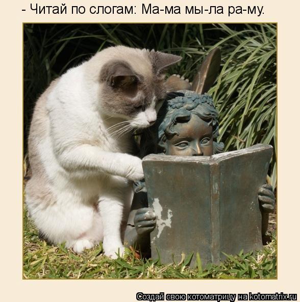 - Читай по слогам: Ма-ма мы-ла ра-му.... Котоматрица: - Читай по слогам: Ма-ма мы-ла ра-му.