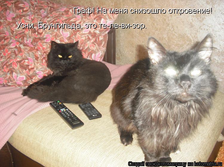 Граф! На меня снизошло откровение! Усни, Брунгильда, это те-ле-ви-зор.... Котоматрица: Граф! На меня снизошло откровение! Усни, Брунгильда, это те-ле-ви-зор.