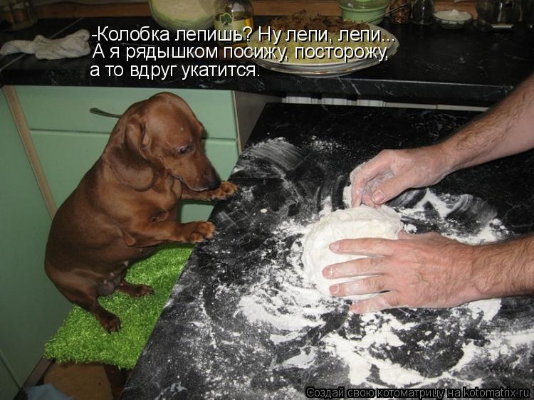 -Колобка лепишь? Ну лепи, лепи... А я рядышком посижу, посторожу, а то вдруг укатится.... Котоматрица: -Колобка лепишь? Ну лепи, лепи... А я рядышком посижу, посторожу, а то вдруг укатится.