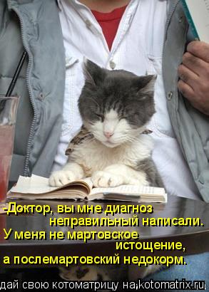 -Доктор, вы мне диагноз неправильный написали. У меня не мартовское истощение, а послемартовский не... Котоматрица: -Доктор, вы мне диагноз неправильный написали. У меня не мартовское истощение, а послемартовский недокорм.