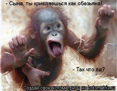 - Сына, ты кривляешься как обезьяна! - Так что ли?... Котоматрица: - Сына, ты кривляешься как обезьяна! - Так что ли?