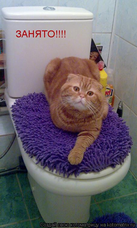 ЗАНЯТО!!!!... Котоматрица: ЗАНЯТО!!!!