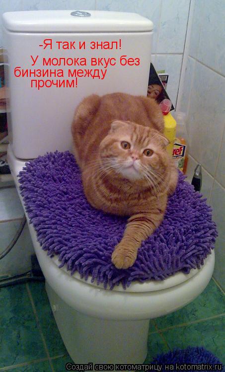 -Я так и знал! У молока вкус без бинзина между прочим!... Котоматрица: -Я так и знал! У молока вкус без бинзина между прочим!