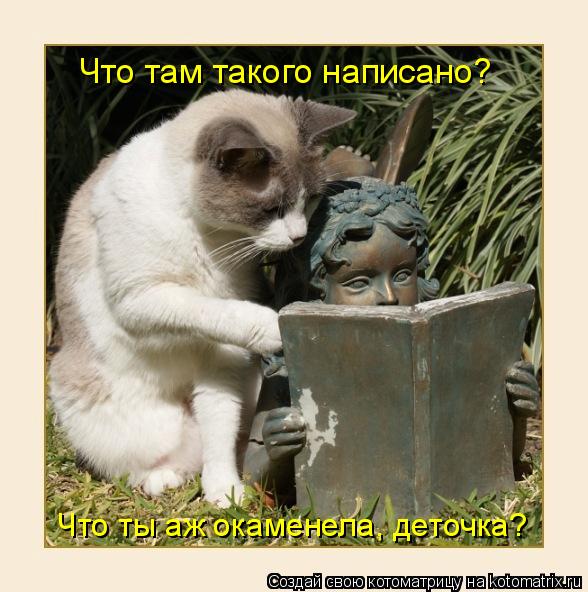 Что там такого написано? Что ты аж окаменела, деточка?... Котоматрица: Что там такого написано? Что ты аж окаменела, деточка?