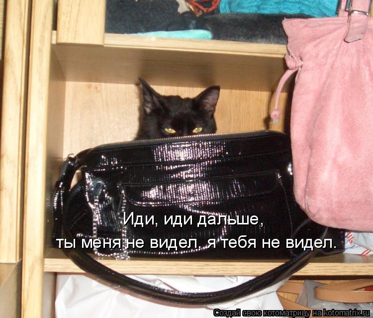 Иди, иди дальше, ты меня не видел, я тебя не видел.... Котоматрица: Иди, иди дальше, ты меня не видел, я тебя не видел.