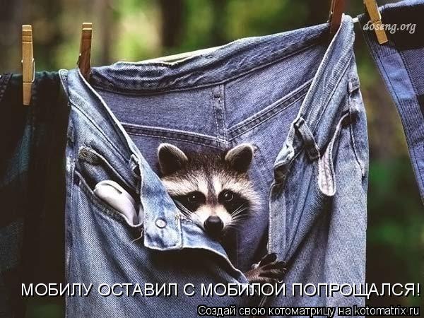 МОБИЛУ ОСТАВИЛ С МОБИЛОЙ ПОПРОЩАЛСЯ!... Котоматрица: МОБИЛУ ОСТАВИЛ С МОБИЛОЙ ПОПРОЩАЛСЯ!
