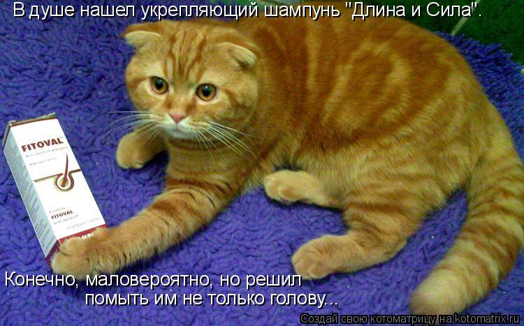 В душе нашел укрепляющий шампунь "Длина и Сила". Конечно, маловероятно, но решил помыть им не только... Котоматрица: В душе нашел укрепляющий шампунь "Длина и Сила". Конечно, маловероятно, но решил помыть им не только голову...