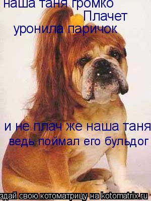 наша таня громко Плачет и не плач же наша таня уронила паричок ведь поймал его бульдог... Котоматрица: наша таня громко Плачет и не плач же наша таня уронила паричок ведь поймал его бульдог