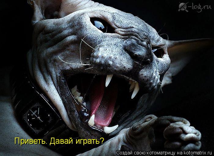 Приветь. Давай играть?... Котоматрица: Приветь. Давай играть?