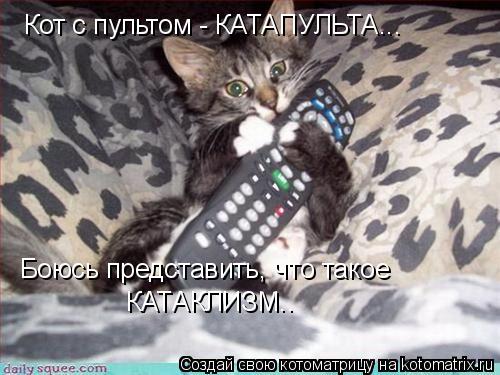 Котоматрица: Кот с пультом - КАТАПУЛЬТА... Боюсь представить, что такое  КАТАКЛИЗМ..