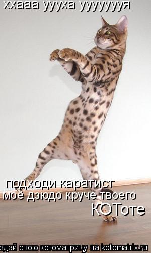 ххааа уууха уууууууя подходи каратист моё дзюдо круче твоего КОТоте... Котоматрица: ххааа уууха уууууууя подходи каратист моё дзюдо круче твоего КОТоте