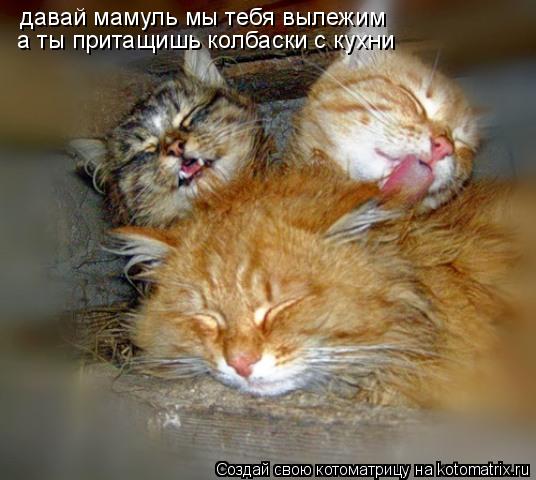 давай мамуль мы тебя вылежим а ты притащишь колбаски с кухни... Котоматрица: давай мамуль мы тебя вылежим а ты притащишь колбаски с кухни