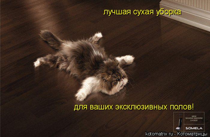 лучшая сухая уборка для ваших эксклюзивных полов!... Котоматрица: лучшая сухая уборка для ваших эксклюзивных полов!