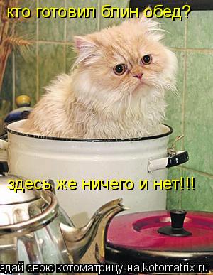 кто готовил блин обед? здесь же ничего и нет!!!... Котоматрица: кто готовил блин обед? здесь же ничего и нет!!!