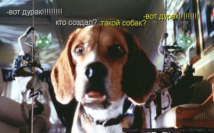 -вот дурак!!!!!!!!! -вот дурак!!!!!!!!! такой собак? кто создал?... Котоматрица: -вот дурак!!!!!!!!! -вот дурак!!!!!!!!! такой собак? кто создал?