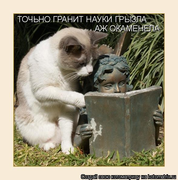 ТОЧЬНО ГРАНИТ НАУКИ ГРЫЗЛА АЖ ОКАМЕНЕЛА... Котоматрица: ТОЧЬНО ГРАНИТ НАУКИ ГРЫЗЛА АЖ ОКАМЕНЕЛА