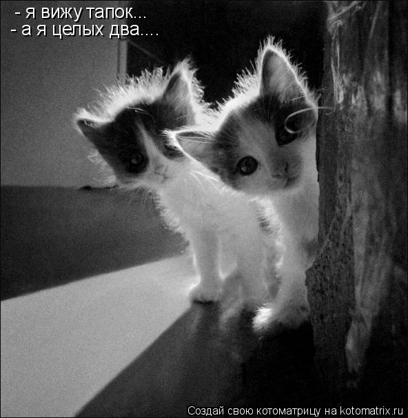 - это называется "мышь"... - я вижу тапок... - я вижу тапок... - а я целых два.... - а я целых два...... Котоматрица: - это называется "мышь"... - я вижу тапок... - я вижу тапок... - а я целых два.... - а я целых два....