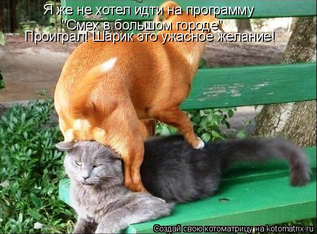 Я же не хотел идти на программу "Смех в большом городе" Проиграл! Шарик это ужасное желание!... Котоматрица: Я же не хотел идти на программу "Смех в большом городе" Проиграл! Шарик это ужасное желание!