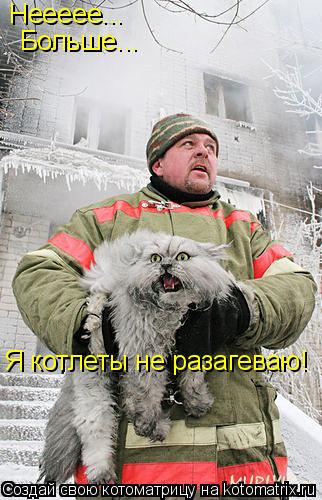 Неееее... Больше... Я котлеты не разагеваю!... Котоматрица: Неееее... Больше... Я котлеты не разагеваю!