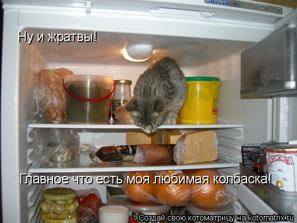 Ну и жратвы! Главное что есть моя любимая колбаска!... Котоматрица: Ну и жратвы! Главное что есть моя любимая колбаска!