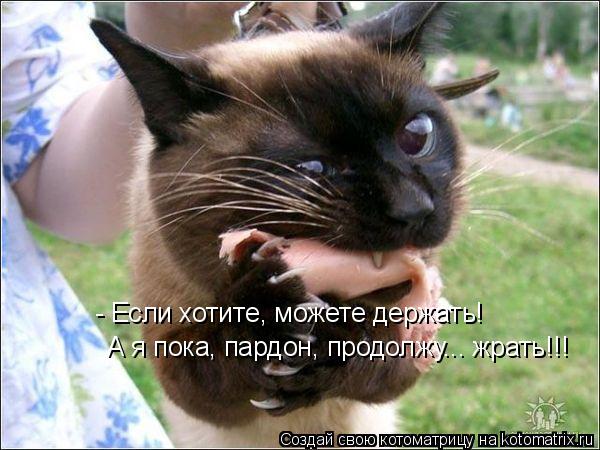 - Если хотите, можете держать! А я пока, пардон, продолжу... жрать!!!... Котоматрица: - Если хотите, можете держать! А я пока, пардон, продолжу... жрать!!!