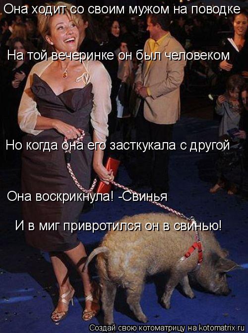 Она ходит со своим мужом на поводке На той вечеринке он был человеком Но когда она его засткукала с д... Котоматрица: Она ходит со своим мужом на поводке На той вечеринке он был человеком Но когда она его засткукала с другой Она воскрикнула! -Свинья И в миг п
