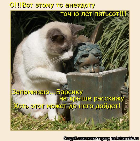 О!!!Вот этому то анекдоту точно лет пятьсот!!! Запоминаю...Барсику на крыше расскажу Хоть этот може... Котоматрица: О!!!Вот этому то анекдоту точно лет пятьсот!!! Запоминаю...Барсику на крыше расскажу Хоть этот может до него дойдет!