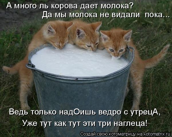 А много ль корова дает молока? Да мы молока не видали пока... Ведь только надОишь ведро с утрецА, У... Котоматрица: А много ль корова дает молока? Да мы молока не видали пока... Ведь только надОишь ведро с утрецА, Уже тут как тут эти три наглеца!
