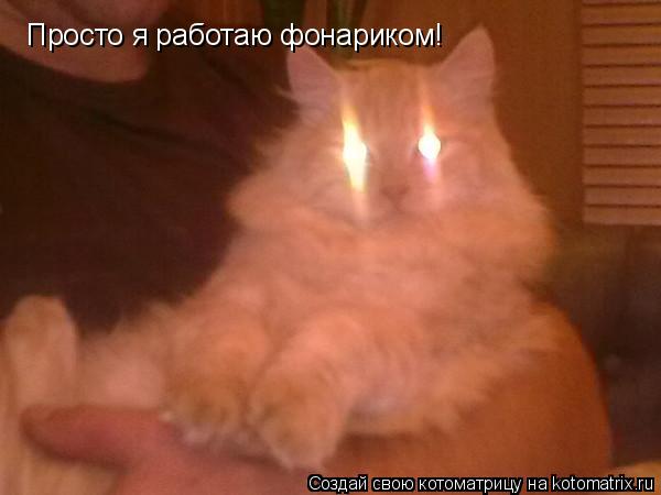 Просто я работаю фонариком!... Котоматрица: Просто я работаю фонариком!