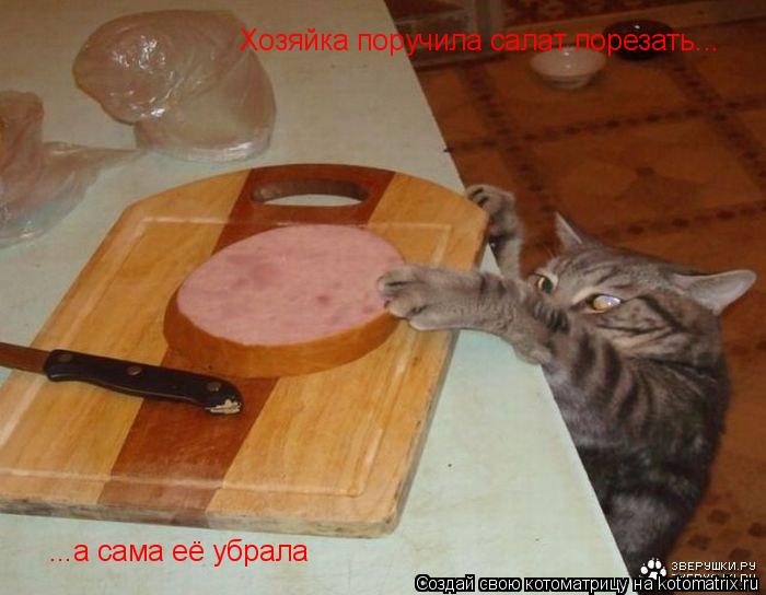 Котоматрица: Хозяйка поручила салат порезать... ...а сама её убрала